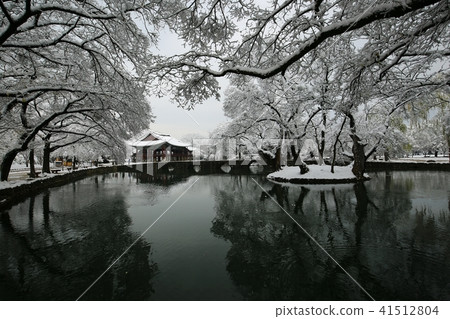 光明傳說 41512804