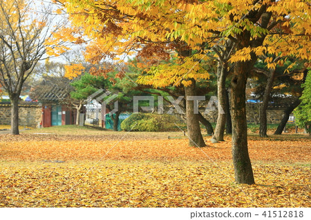 The Legend of KwangHan 41512818