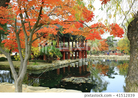 The Legend of KwangHan 41512839