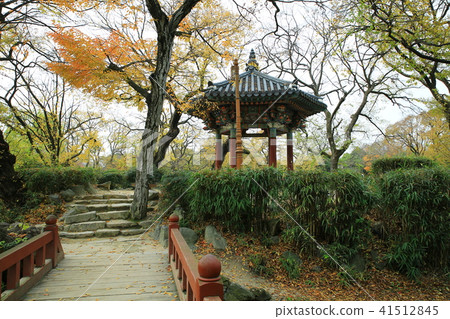 光明傳說 41512845