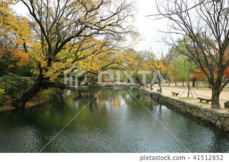 光明傳說 41512852