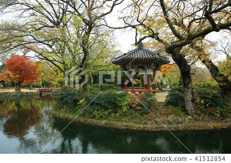 光明傳說 41512854