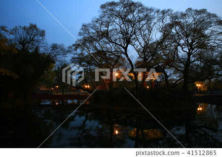 光明傳說 41512865