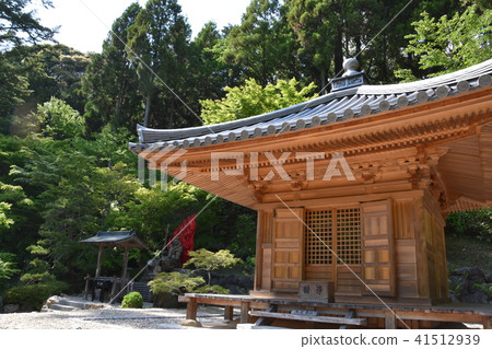 Law Tama Tadashi Eiji Temple Pharmaco Fukuroi Law Tama Tadashi Eiji Temple Pharmaco Fukuroi 41512939