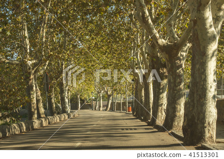 An empty highway in Mallorca, Spain An empty highway in Mallorca, Spain 41513301