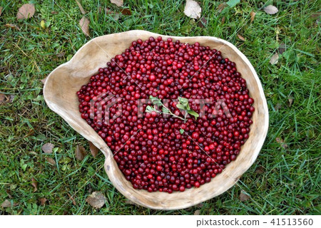 Cowberry in wooden plate 41513560