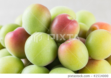 青梅膏藥的小李子 青梅膏藥的小李子 41514000