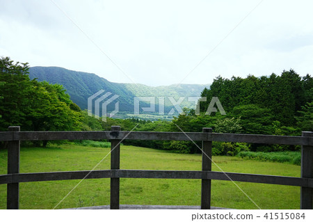 兒童廣場新鮮綠色 41515084