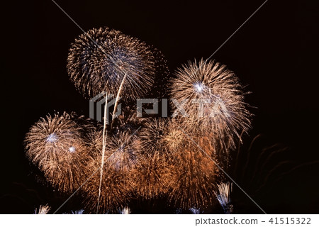 Tsuchiura Firework Display 41515322