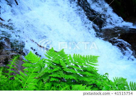 Platinum immovable waterfall 41515754