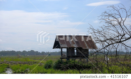 hut hut 41516107