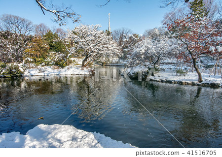 Snow scenery of Arisugawa Palace Memorial Park 41516705