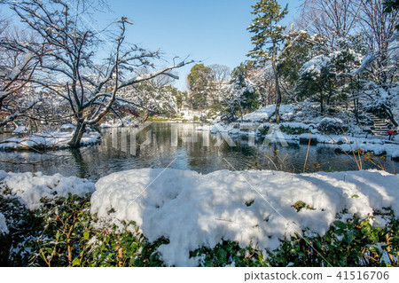 Snow scenery of Arisugawa Palace Memorial Park Snow scenery of Arisugawa Palace Memorial Park 41516706