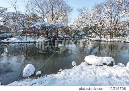 Snow scenery of Arisugawa Palace Memorial Park Snow scenery of Arisugawa Palace Memorial Park 41516708