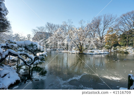 Snow scenery of Arisugawa Palace Memorial Park 41516709