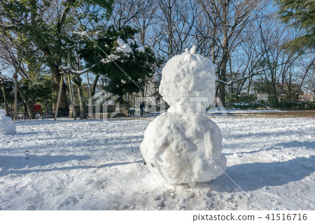 Snow scenery of Arisugawa Palace Memorial Park Snow scenery of Arisugawa Palace Memorial Park 41516716