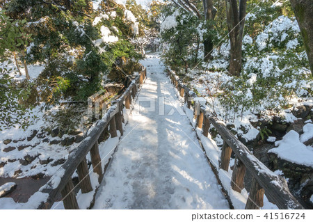 Arisugawa宮殿紀念公園雪風景 Arisugawa宮殿紀念公園雪風景 41516724