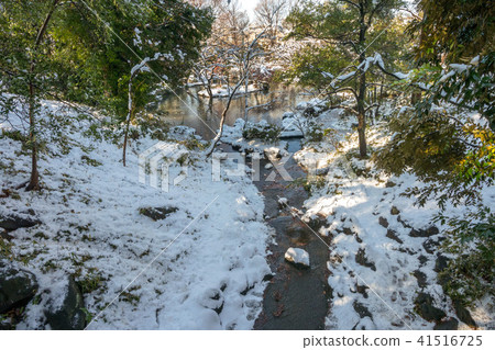 Arisugawa宮殿紀念公園雪風景 Arisugawa宮殿紀念公園雪風景 41516725
