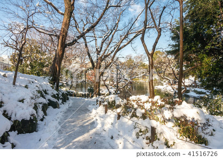 Arisugawa宮殿紀念公園雪風景 Arisugawa宮殿紀念公園雪風景 41516726