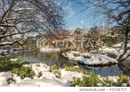 Arisugawa宮殿紀念公園雪風景 Arisugawa宮殿紀念公園雪風景 41516727