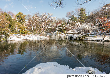 Arisugawa宮殿紀念公園雪風景 Arisugawa宮殿紀念公園雪風景 41516728