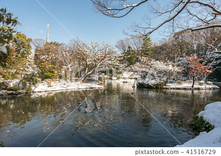 Arisugawa宮殿紀念公園雪風景 41516729