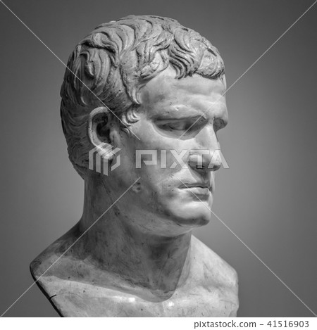 The ancient marble head of man sculpture The ancient marble head of man sculpture 41516903