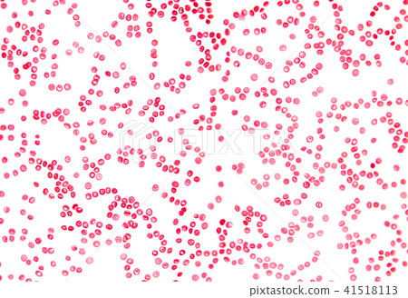 Human blood cells, high magnified under microscope 41518113