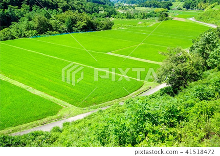 田園風光(七月) 田園風光(七月) 41518472