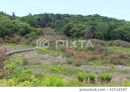 6月(初夏)的橫手高地·井沼 6月(初夏)的橫手高地·井沼 41518597