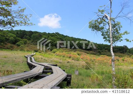 6月(初夏)的橫手高地·荒野長廊 6月(初夏)的橫手高地·荒野長廊 41518612