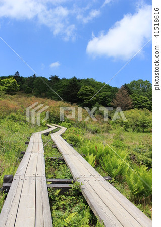 6月（初夏）的橫手高地·荒野長廊 41518616