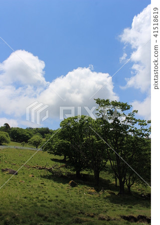 六月（初夏）橫手高原 41518619