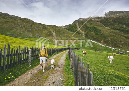 Tourist with dog in countryside 41518761
