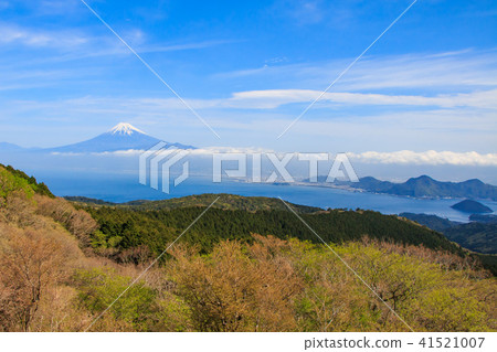 Mt. Fuji from Daliyama Mt. Fuji from Daliyama 41521007