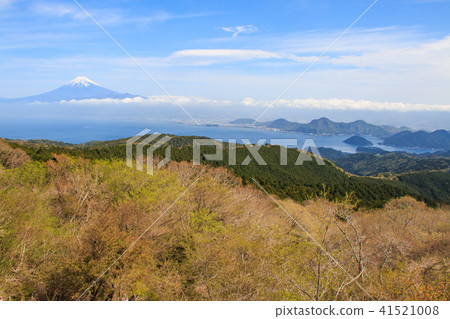 Mt. Fuji from Daliyama 41521008