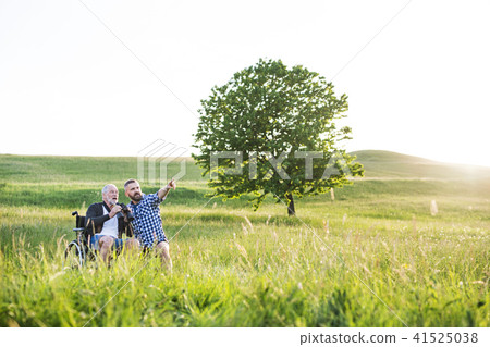An adult hipster son with senior father in wheelchair on a walk in nature at sunset, laughing. 41525038