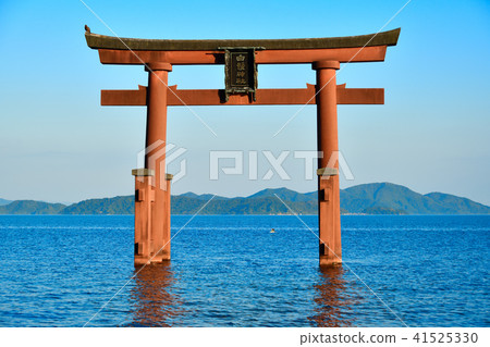 白井神社 41525330