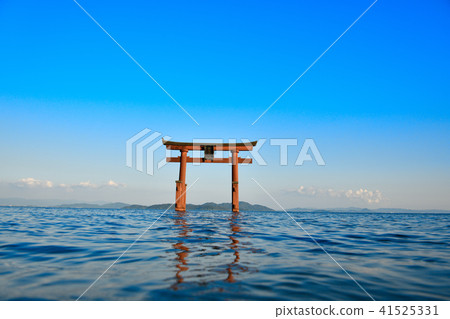 白井神社 白井神社 41525331