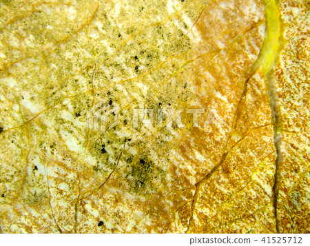 light yellow crack marble granite stone luxury light yellow crack marble granite stone luxury 41525712