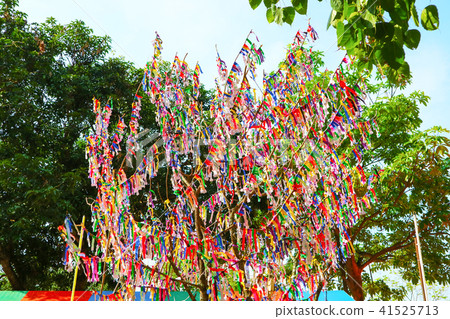 lottery tree random lottery paper and buy lottery lottery tree random lottery paper and buy lottery 41525713