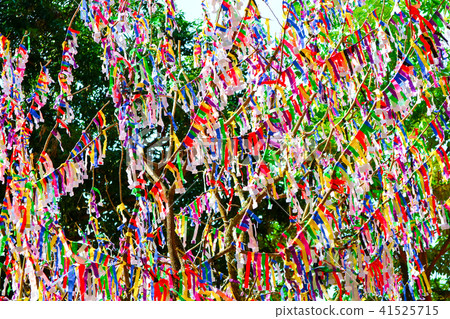 lottery tree random lottery paper and buy lottery lottery tree random lottery paper and buy lottery 41525715