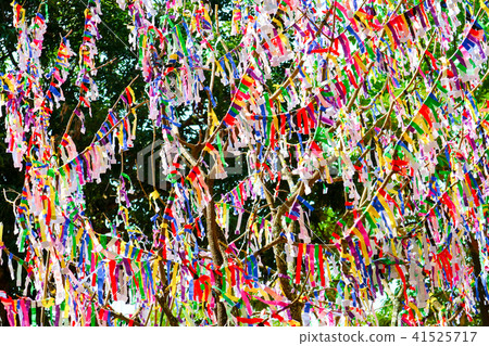lottery tree random lottery paper and buy lottery lottery tree random lottery paper and buy lottery 41525717