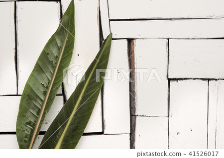 Green tropical leaves lie on a white background of plaque boards. Green tropical leaves lie on a white background of plaque boards. 41526017