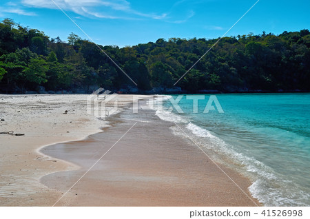 Landscape of natural sea beach and tropical jungle Landscape of natural sea beach and tropical jungle 41526998