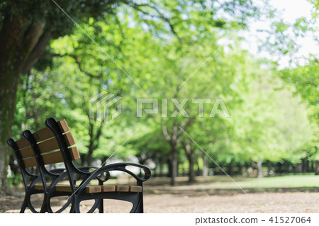 Park bench 41527064