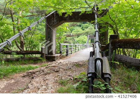 日光市栃木縣Ryuu-shin Musashi Bridge（五月） 41527406