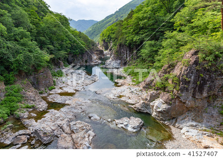 日光市栃木縣龍六市（五月） 41527407