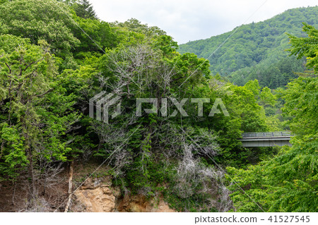Nikko city Tochigi prefecture Kawamata geyser neighborhood (May) 41527545
