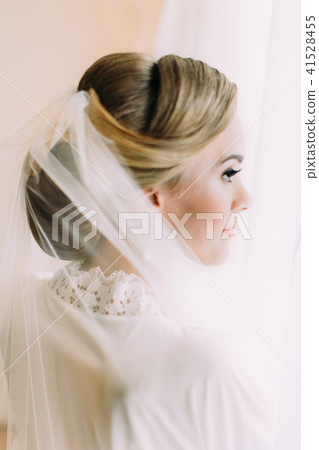 Side view of the bride hairstyle decorated with veil. 41528455